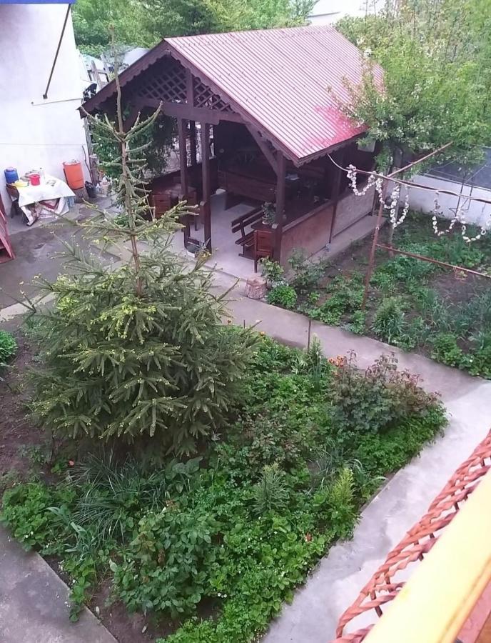 Pensiune La Rodica Otel Costinești Dış mekan fotoğraf