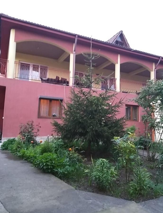 Pensiune La Rodica Otel Costinești Dış mekan fotoğraf